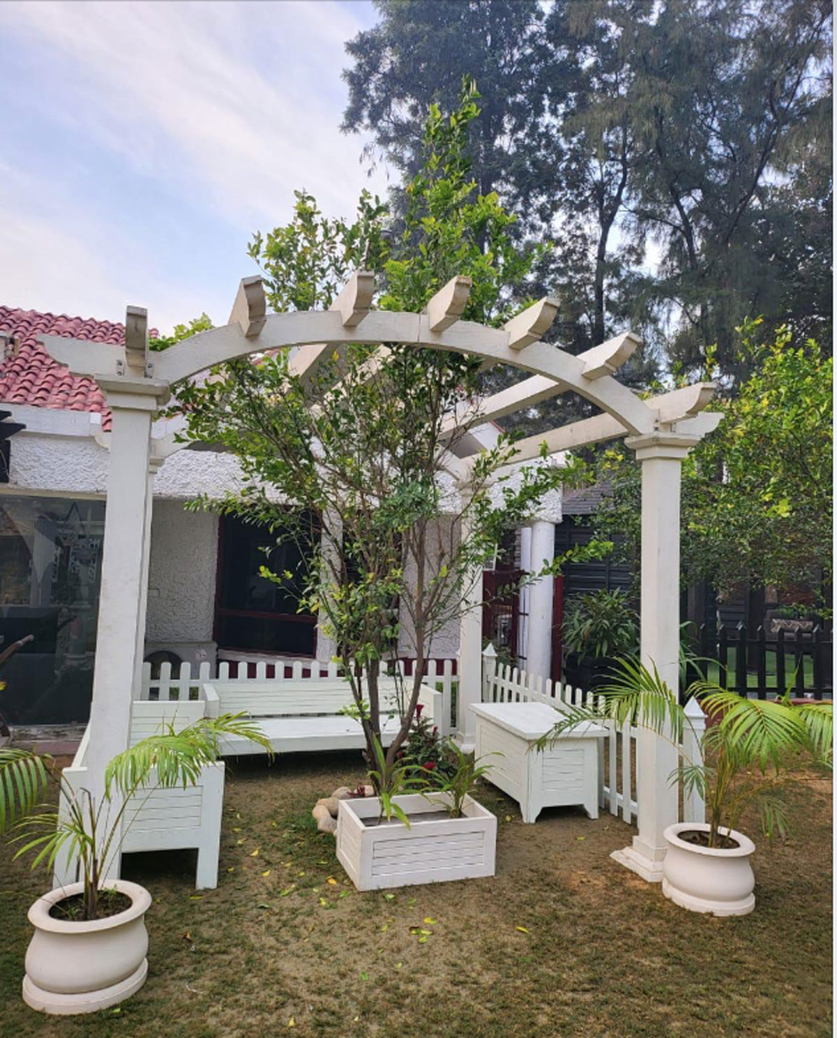 Pergola 