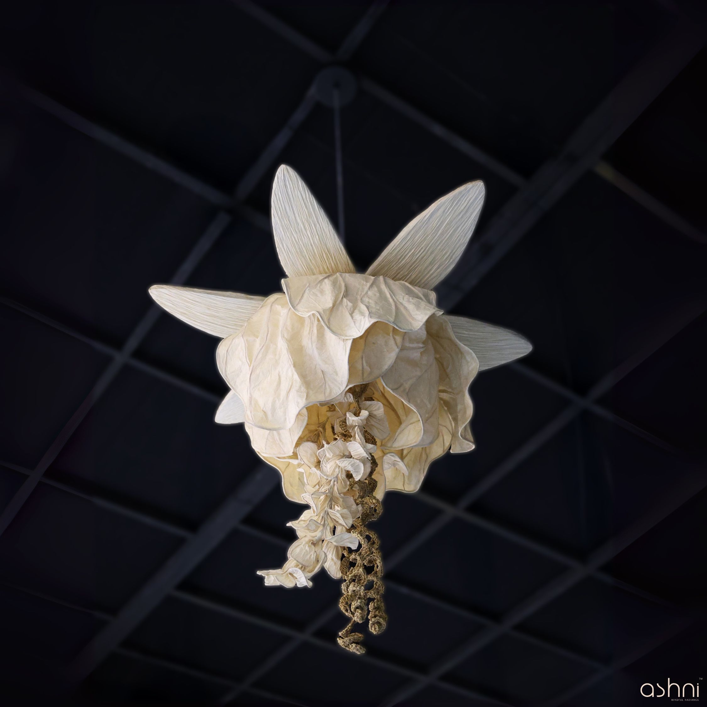 Amara Lighting Collection