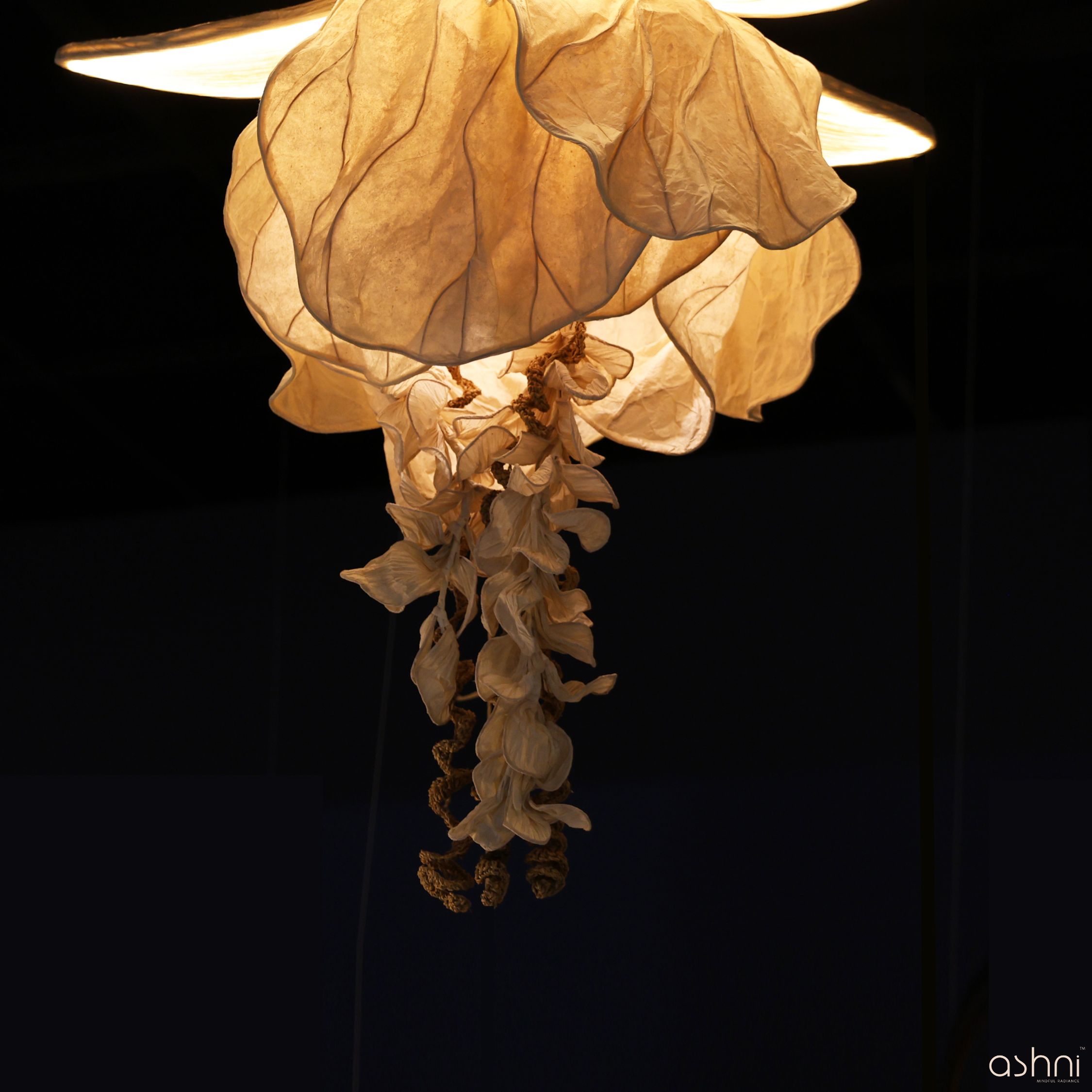 Amara Lighting Collection